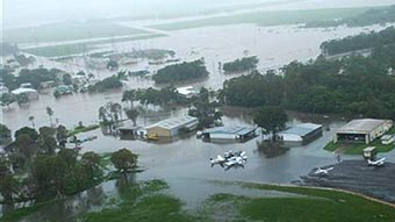 Крокодили превземат наводнените градове в Австралия