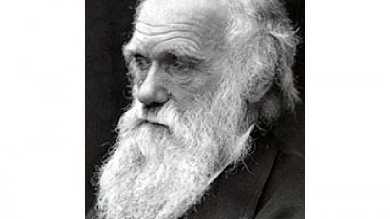 Ватикана призна теорията на Дарвин
