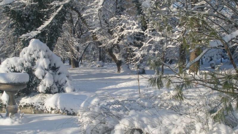 Снегът блокира Пловдив и областта, 12 села без ток и вода