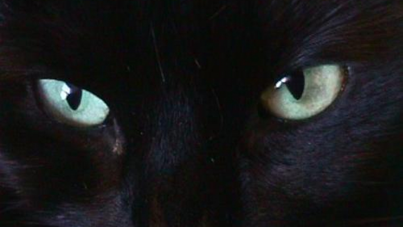 Китайче вижда в тъмното, очите му светят като на котка