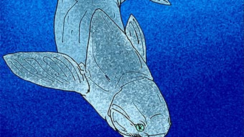 Древна риба помогна да се установи кога се е появил сексът