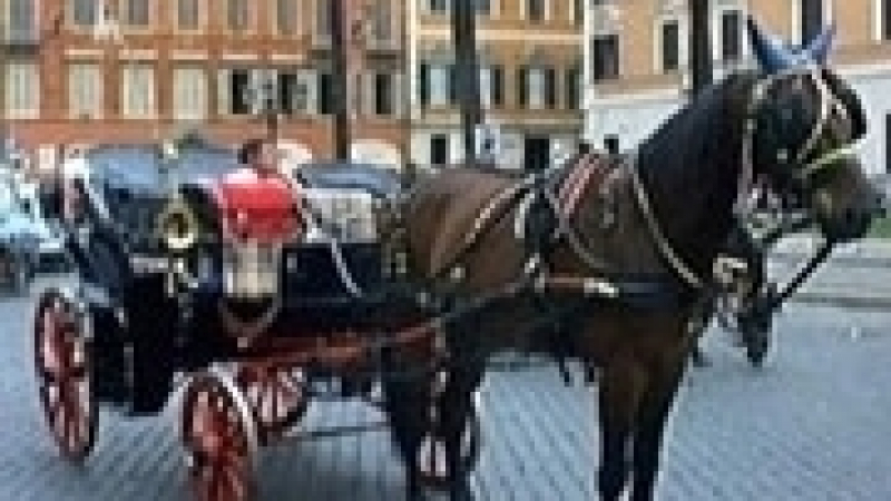 Гонят каляските с коне от историческия център на Рим
