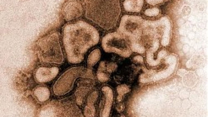 Разпространява се нов вид грипен вирус
