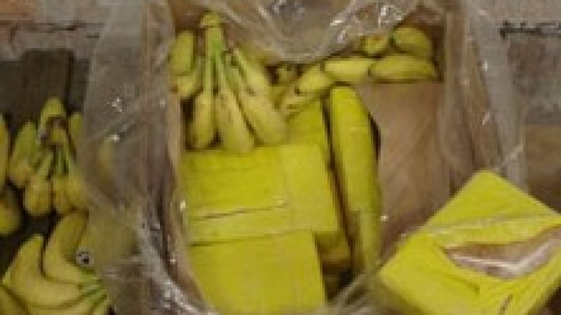 Кокаин за 2 млн. долара открит в кашони с банани