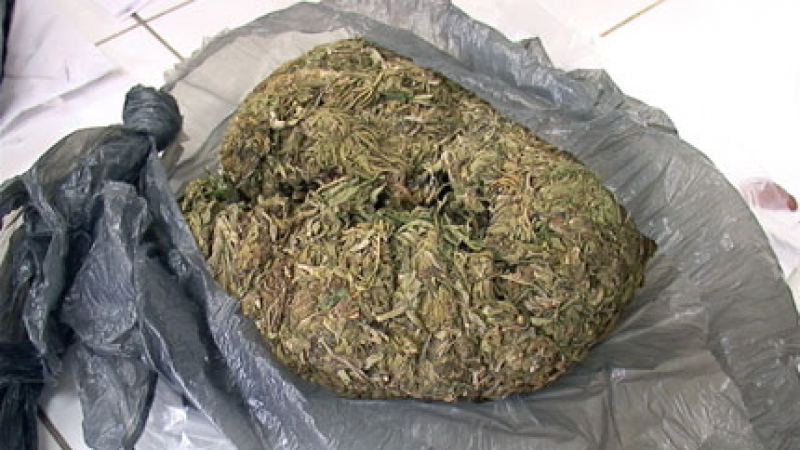 5,5 тона марихуана открити в Хамбург