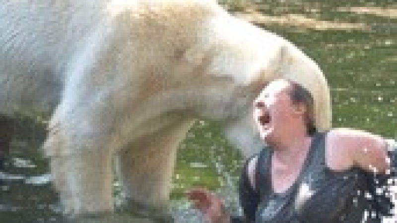 Бяла мечка нападна жена в зоопарк