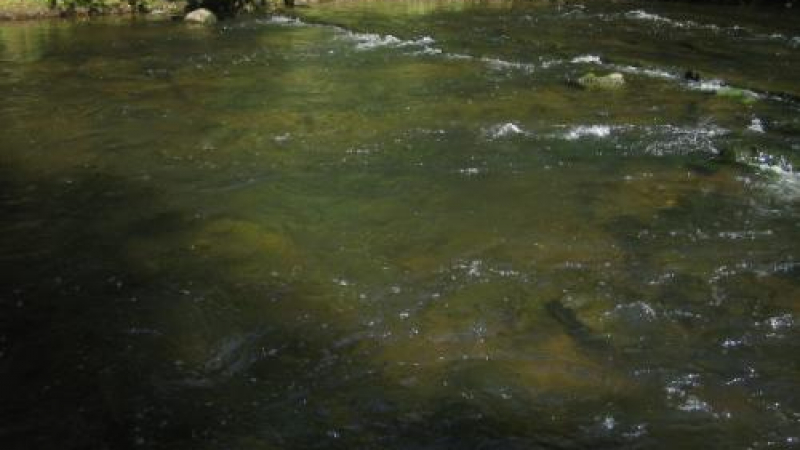 Младеж се удави в река Росица 