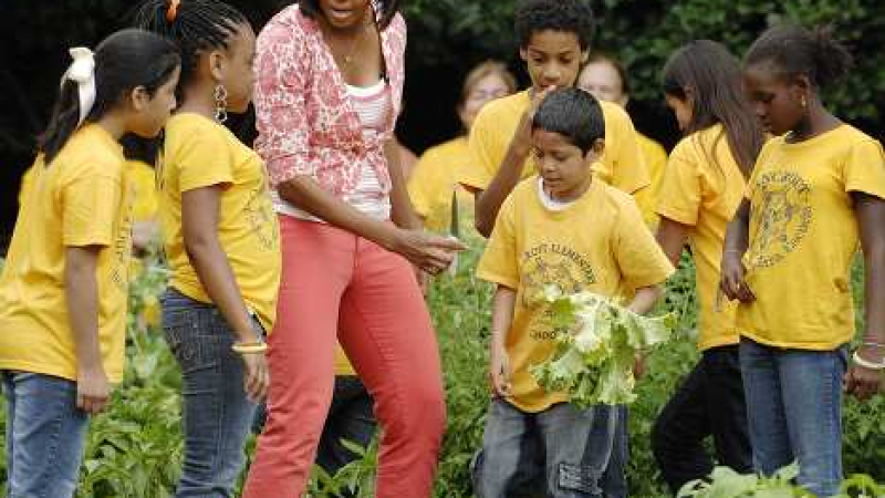 Мишел Обама събра 40 кг реколта от градината в Белия дом