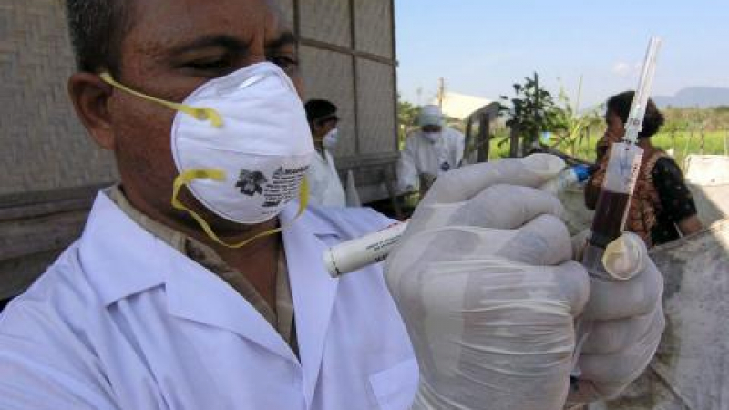 Втори случай на свински грип във В.Търново