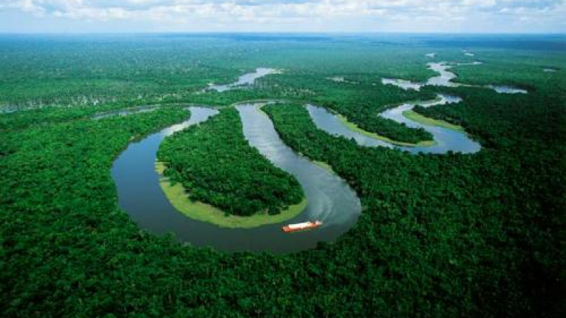 Амазонка е възникнала преди 11,8 млн. години
