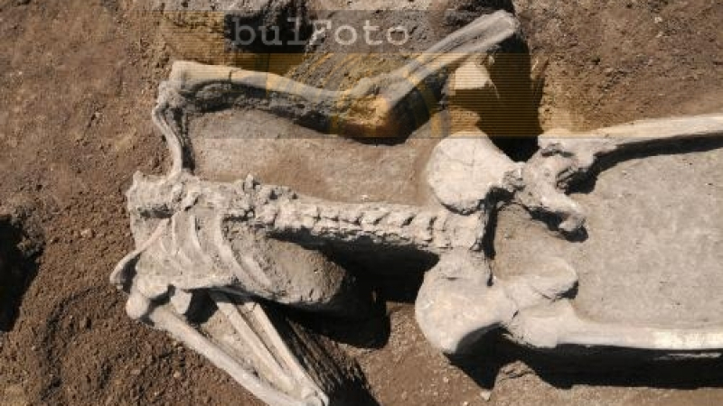 Скелет на насечен човек откриха край Нова Загора 