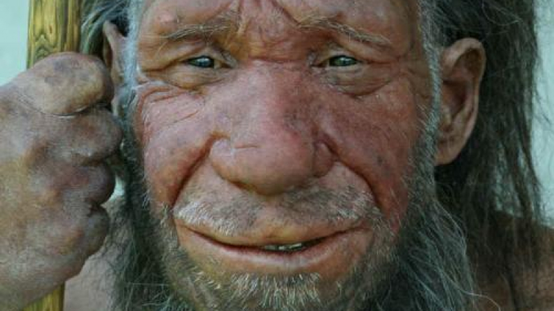 Неандерталците измрели заради малка популация