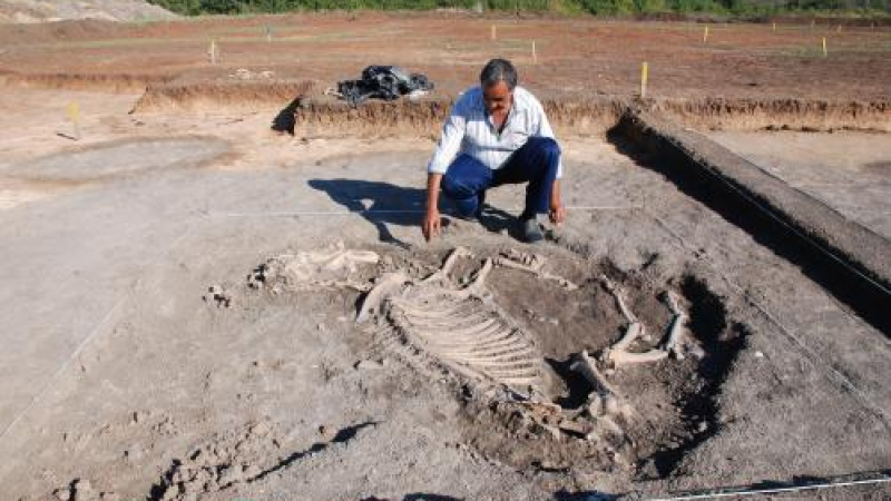 Откриха останки от църква и скелет на жертвен кон