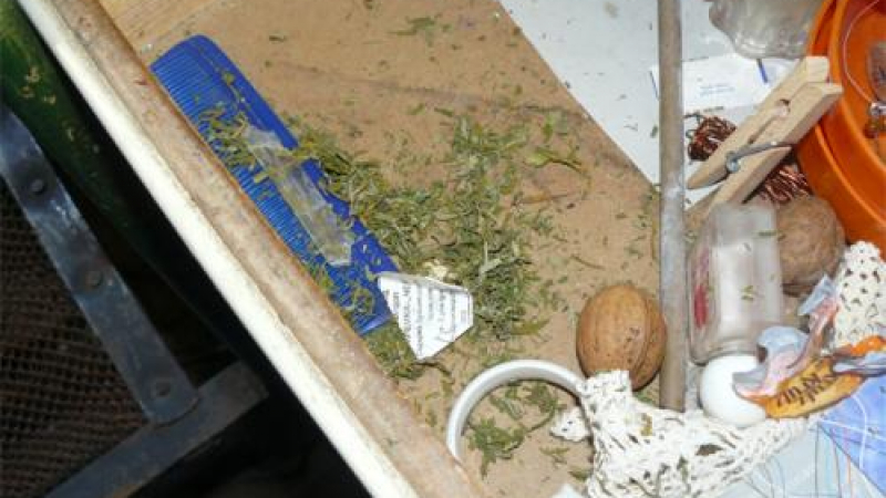 Иззеха над 1 кг марихуана в Пирдоп