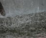 Проф. Рачев: До часове иде ад, наводнения и гръмотевични бури удрят отново България