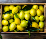 Внимание: Пестициди в лимоните, внесени от...