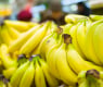 След Бургас: Отново откриха огромно количество кокаин в банани