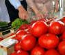 Агроном: Засадете тези домати сега и няма да съжалявате!