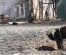 Украински военни: Русия пак използва химически отровни вещества на фронта