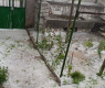 За минути всичко замина: Градушка удари това място в България, бурята се насочи към... ВИДЕО