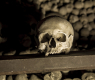 Мистерия! Археолози се хванаха за главите от находка в череп от XVIII век