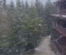 Великден ли? Снежна буря връхлетя Витоша, а над Сандански... ВИДЕО 
