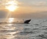 Украйна с мощна атака с морски дронове: Експлозии и пожар в Новоросийск ВИДЕО