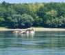 Милиони евро на дъното на р. Дунав заради близо 200 потопени кораби със...