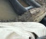 Пълен шок! Откриха крокодил в дупка в Софийско СНИМКИ