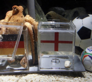 Октопод предвиди победа на Германия над Англия