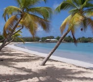 Райс Мболи се скрива на Карибите