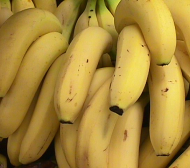 Левскарите се тъпчат с банани
