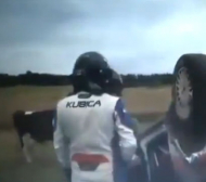 Ето как Кубица подгони кравите на тренировка (ВИДЕО)
