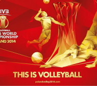 Световно по волейбол 2014
