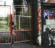 Кучето на ЦСКА скъса гащите на инспектор на "Армията"