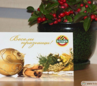 Ботев (Пловдив) честити празниците на феновете си