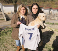 Роналдо спаси кучешки приют