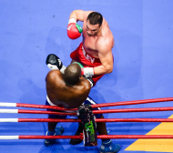 Шефът на световния бокс: Джошуа да се бие с Пулев или да върне титлата  