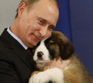 1,7 милиона скочиха на Путин: Стига с убийствата, помислете!  