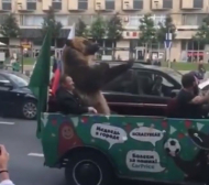 Празнуваща руска мечка като Роби Уилямс, показа неприлични жестове (ВИДЕО)
