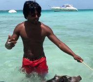 Приятел на Бербатов тотално изтрещя! Бори се с прасета на плажа (ВИДЕО) 