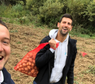 №1 в света, но не забравя откъде е тръгнал: Джокович вади картофи СНИМКИ