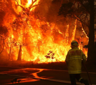 Адска жега и огнен апокалипсис за Гришо и останалите в Австралия