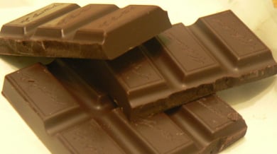 Литекс поиска 30 шоколада от Динамо (Киев)