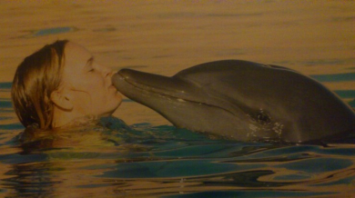 Возняцки плува с делфини в Дубай