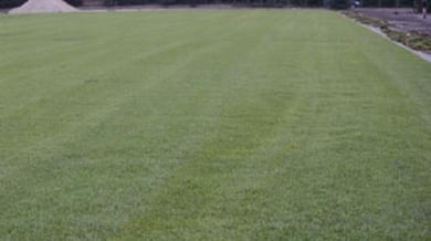 Играчите на Берое тренират на чисто нова трева