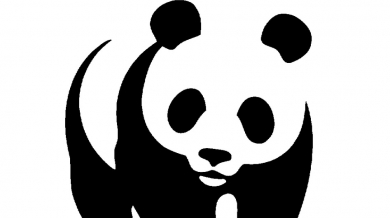 Фрайбург слага панда на екипите си
