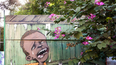 Още графити срещу Световното в Бразилия (СНИМКИ)