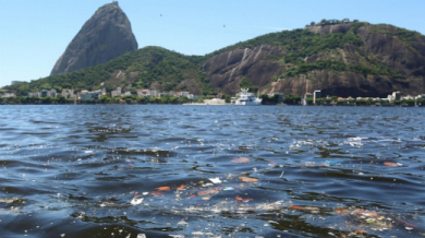 Кметът на Рио: Съжалявам за мръсната вода