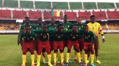 Купа на Африканските нации 2015, Камерун